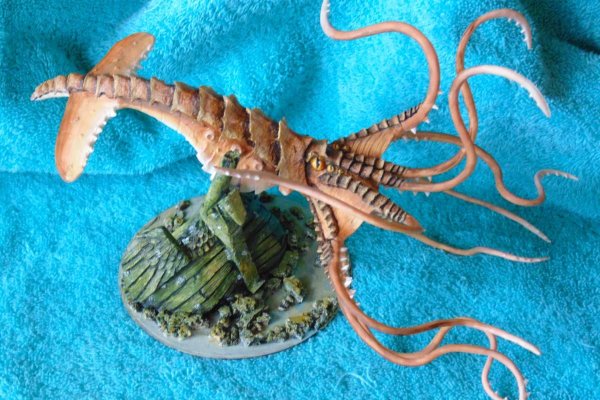Kraken dark market