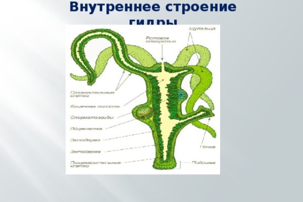 Kraken как найти ссылку