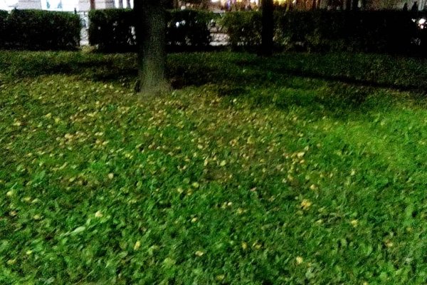Кракен какой сайт