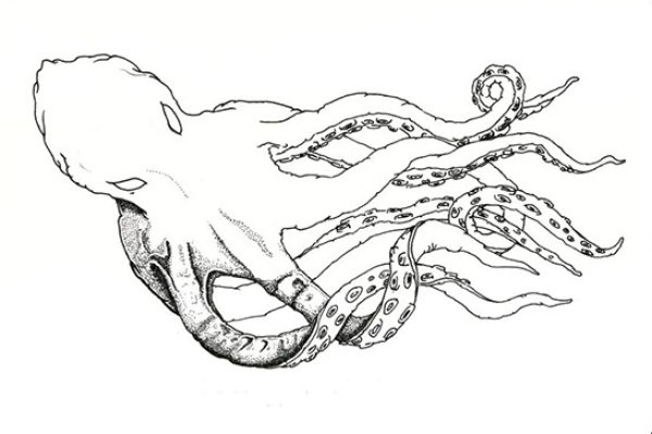 Kraken актуальный сайт