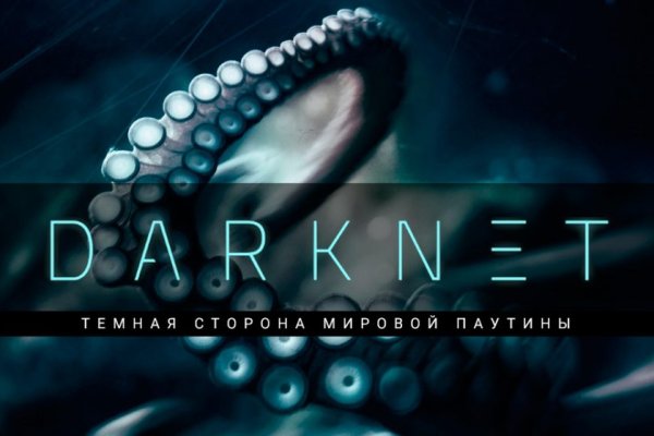 Kraken 13at
