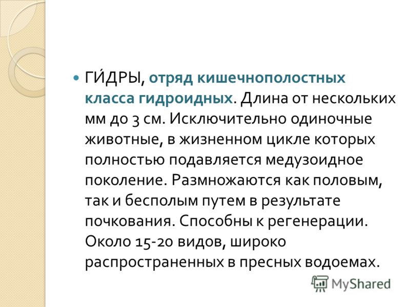 Кракен сайт регистрация
